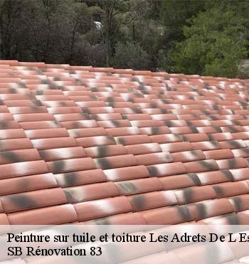 Peinture sur tuile et toiture