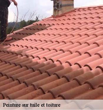 Peinture sur tuile et toiture