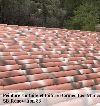 Peinture sur tuile et toiture