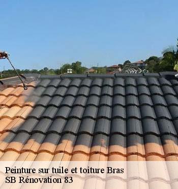 Peinture sur tuile et toiture
