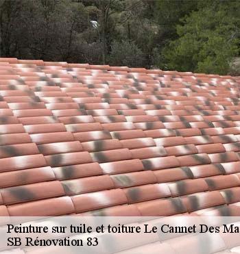 Peinture sur tuile et toiture