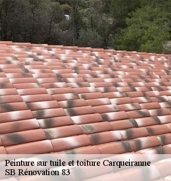 Peinture sur tuile et toiture