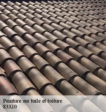 Peinture sur tuile et toiture