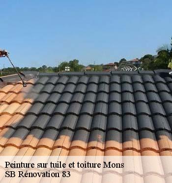 Peinture sur tuile et toiture