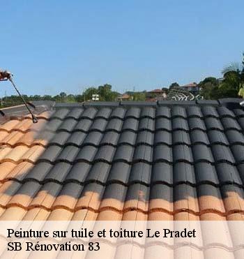 Peinture sur tuile et toiture