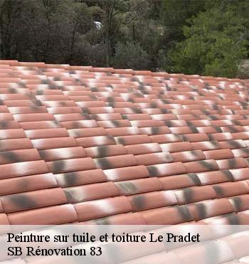 Peinture sur tuile et toiture