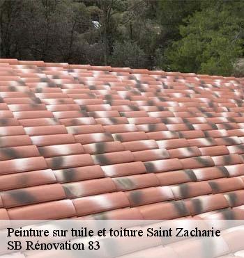Peinture sur tuile et toiture