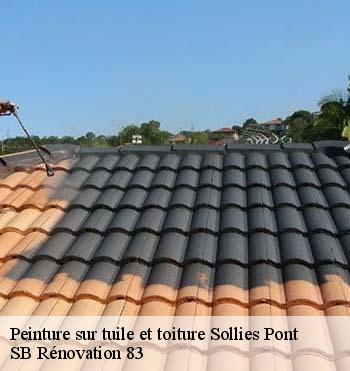 Peinture sur tuile et toiture