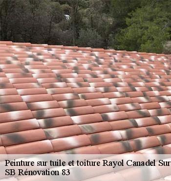 Peinture sur tuile et toiture
