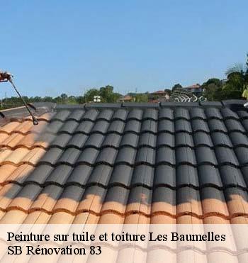 Peinture sur tuile et toiture