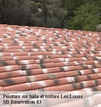 Peinture sur tuile et toiture