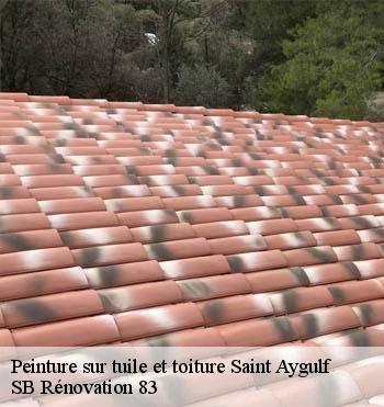 Peinture sur tuile et toiture