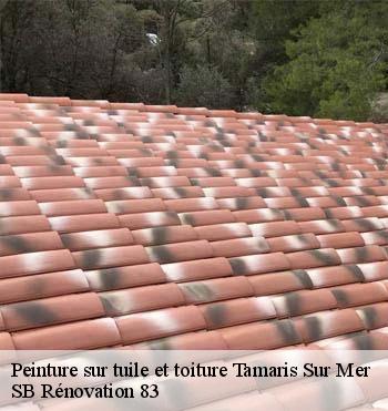 Peinture sur tuile et toiture