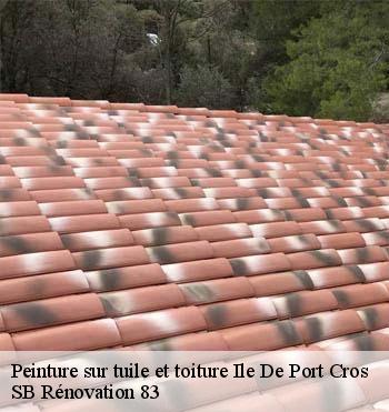 Peinture sur tuile et toiture