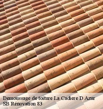 Demoussage de toiture