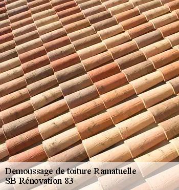 Demoussage de toiture