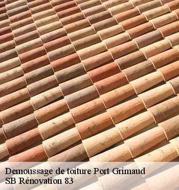 Demoussage de toiture